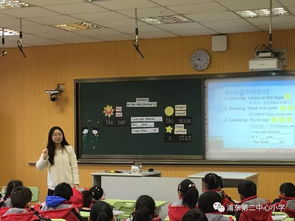 2018學(xué)年見習(xí)教師規(guī)范化培訓(xùn)課堂教學(xué)達(dá)標(biāo)考評(píng)活動(dòng)